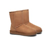 UGG Boots - UGG Boots Australian Genuine Sheepskin Unisex Short Classic Suede